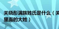 關曉彤滿族姓氏是什么(關曉彤的姓氏是滿族里面的大姓)