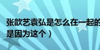 張歆藝袁弘是怎么在一起的引網友熱議(原來是因為這個)