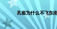 孔雀為什么不飛東南飛西北?