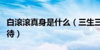 白滾滾真身是什么(三生三世枕上書引網友期待)