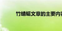 竹蜻蜓文章的主要內容是什么?