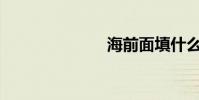 海前面填什么?
