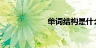 單詞結構是什么?