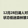 12月28日湖人對森林狼（11月21日NBA常規賽戰報：灰熊狀態低迷森林狼138:95大獲全勝）