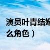 演員葉青結婚了嗎（她在錦衣之下中飾演的什么角色）