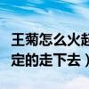 王菊怎么火起來的（沒有本錢那就另辟蹊徑堅定的走下去）