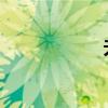 無法無天地猜數字