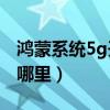 鴻蒙系統5g開關在哪里（鴻蒙系統5G開關在哪里）