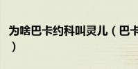 為啥巴卡約科叫靈兒(巴卡約科為什么叫靈兒)
