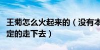 王菊怎么火起來的(沒有本錢那就另辟蹊徑堅定的走下去)