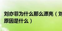 劉亦菲為什么那么漂亮(劉亦菲與宋承憲分手原因是什么)