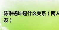 陳琳楊坤是什么關系(兩人私下關系很是多年友)