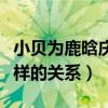小貝為鹿晗慶生（貝克漢姆與鹿晗究竟有什么樣的關系）