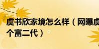 虞書欣家境怎么樣(網曝虞書欣家境優越是一個富二代)