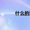 什么的池塘里全是荷葉什么的？