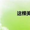 這棵美麗的南方樹改成反問句