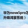 華為nova5pro怎么升級鴻蒙系統（華為Nova8為什么不能升級鴻蒙系統）