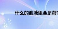 什么的池塘里全是荷葉什么的?