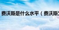 費沃斯是什么水平(費沃斯為什么沒打出來)