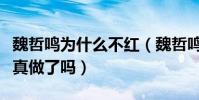 魏哲鳴為什么不紅(魏哲鳴與徐若晗真的假戲真做了嗎)