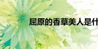 屈原的香草美人是什么意思?