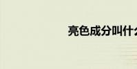 亮色成分叫什么?