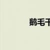 鵝毛千里送鵝毛是什么意思？