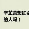 辛芷蕾想紅引網友熱議（她真的是真實不做作的人嗎）