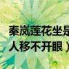 秦嵐蓮花坐是什么梗（便是坐著皇后娘娘也讓人移不開眼）
