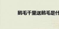 鵝毛千里送鵝毛是什么意思?