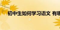 初中生如何學習語文 有哪些學習技巧?