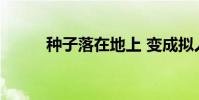種子落在地上 變成擬人化的句子
