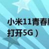 小米11青春版怎么開5g（小米11青春版怎么打開5G）