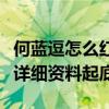 何藍逗怎么紅的（她居然是曾經的小咖秀網紅詳細資料起底）