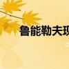 魯能勒夫現狀（勒夫為什么離開魯能）