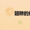 翅膀的結構是什么 食譜是什么？