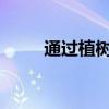 通過植樹和享受涼爽的空氣來填空
