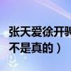 張天愛徐開騁什么關系（網曝二人戀愛了這是不是真的）
