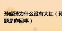 孫耀琦為什么沒有大紅(孫耀琦被指人氣有問題是咋回事)
