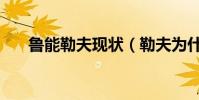 魯能勒夫現狀(勒夫為什么離開魯能)