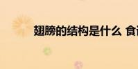 翅膀的結構是什么 食譜是什么?