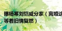 曝楊冪劉愷威分家(離婚這么久才分家網友都等著舊情復燃)