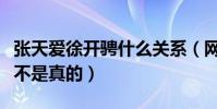 張天愛徐開騁什么關系(網曝二人戀愛了這是不是真的)