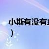 小斯有沒有拿過mvp（為什么mvp不是小斯）