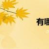 有哪些左右音的形聲字？