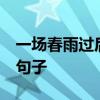 一場春雨過后 春筍破土而出 變成了擬人化的句子