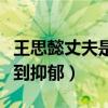 王思懿丈夫是丁海峰嗎（丁海峰妻子被兩人氣到抑郁）