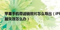 蘋果手機帶濾鏡照片怎么導出(iPhone照片濾鏡導出到電腦失效怎么辦)