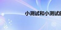小測試和小測試的區別