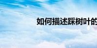 如何描述踩樹葉的聲音?
